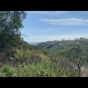 Meet your Posher, Jake